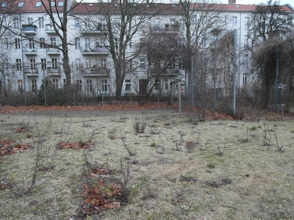 Brache in der Dusekestraße, Berlin – Karger, mit Laub bedeckter Boden, umzäunt, mit Wohnhäusern im Hintergrund – transporttechniker.de